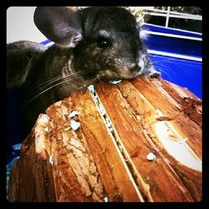 Meet your Posher, Mari